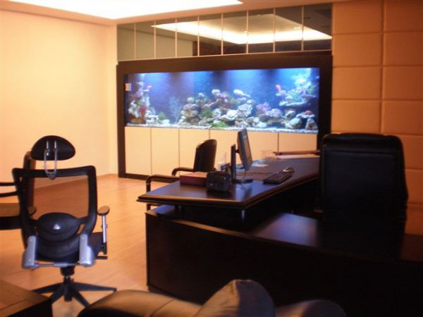 大理石包边鱼缸